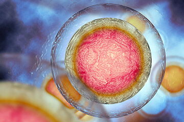 Social Freezing – Fruchtbarkeit der Eizelle erhalten