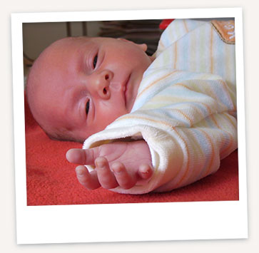 Bericht vom Dezember 2008 über die Erfahrungen im Kinderwunschzentrum